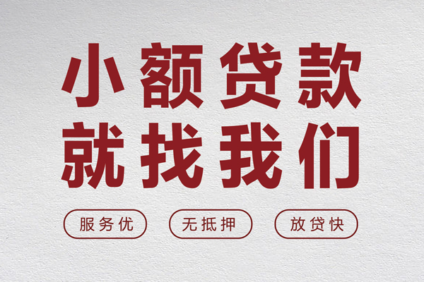 苏州06小额贷款不查征信